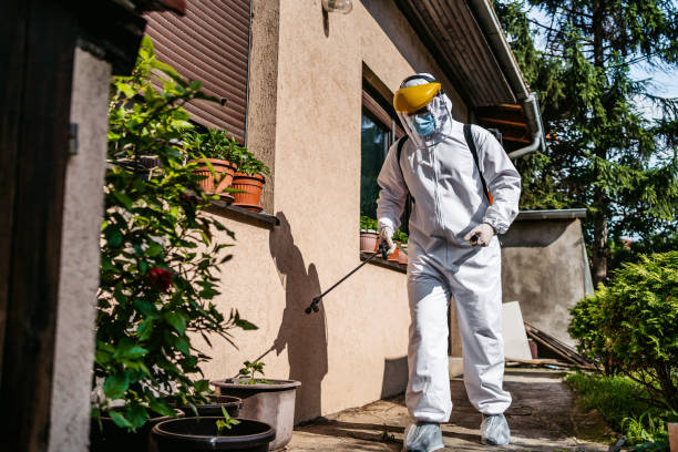 Best Local Pest Control Services  in Audubon, PA