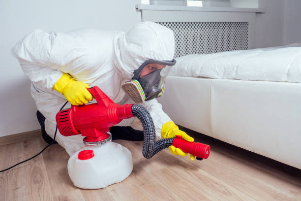 Best Affordable Pest Control Services  in Audubon, PA